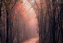 冰封王座再临！挪威冰壶传奇续写辉煌，用实力宣告卫冕荣耀