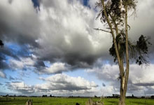 冰封王座再临！挪威冰壶传奇续写辉煌，用实力宣告卫冕荣耀