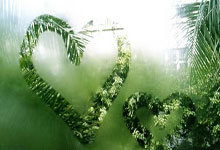 冰封王座再临！挪威冰壶传奇续写辉煌，用实力宣告卫冕荣耀