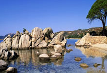 冰封王座再临！挪威冰壶传奇续写辉煌，用实力宣告卫冕荣耀