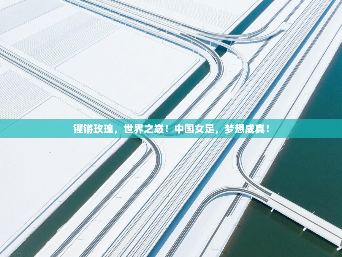 铿锵玫瑰,世界之巅!中国女足,梦想成真! 第2张