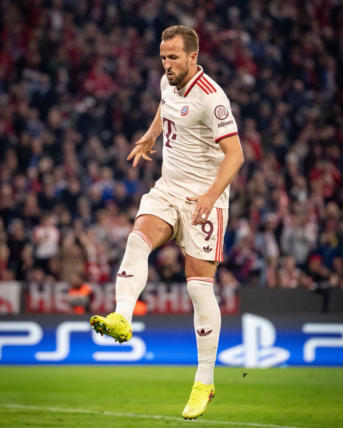 包含拜仁慕尼黑再度展现强大实力，轻取胜利的词条